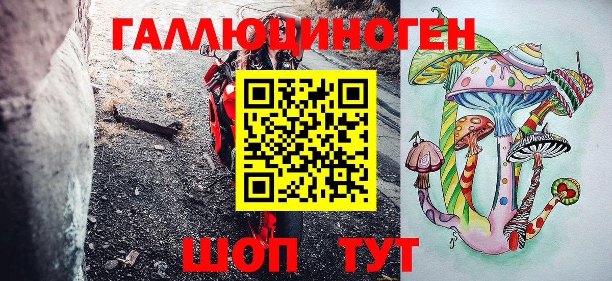Псилоцибиновые грибы Cubensis Нижний Новгород