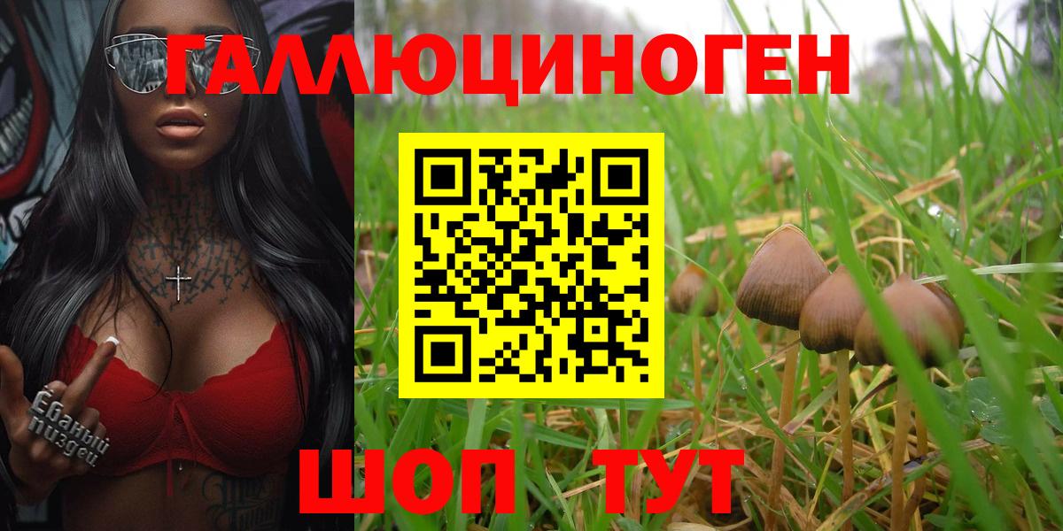 Нижний Новгород  Псилоцибиновые грибы GOLDEN TEACHER  Вход с VPN  Псилоцибиновые грибы GOLDEN TEACHER 
