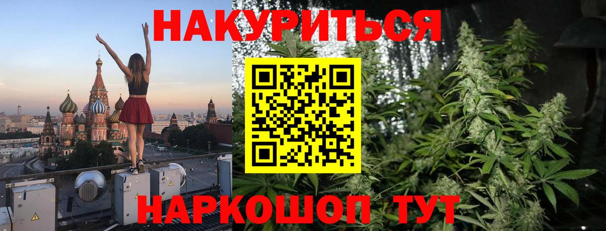 Каннабис планчик  Бошки марихуана индика  Вход с VPN  Нижний Новгород  Конопля гибрид 